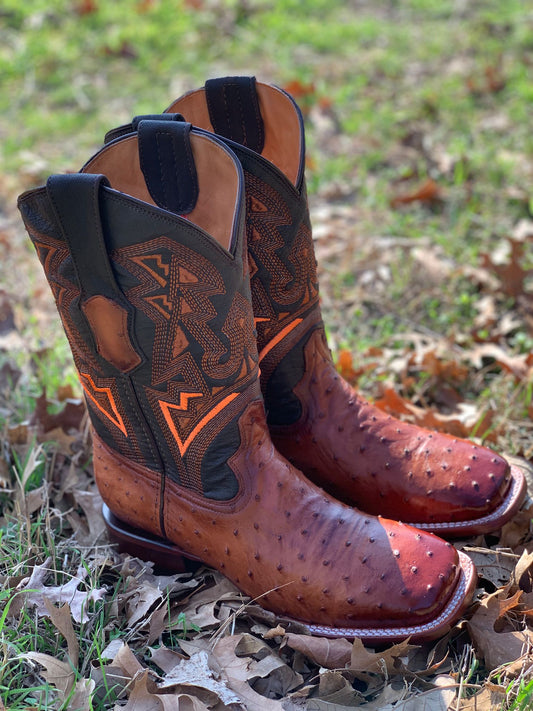 Botas Icy Denver Avestruz