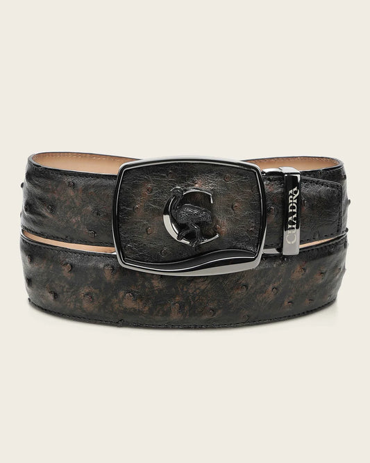 Cinturon Cuadra Orix Golden